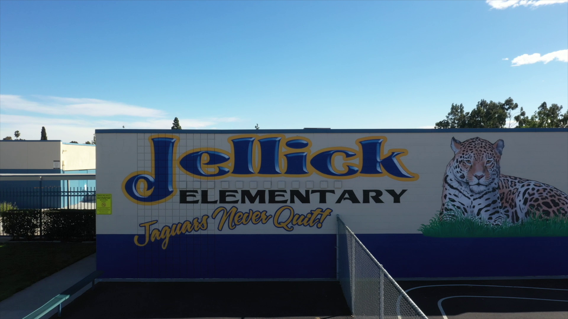 Jellick Video